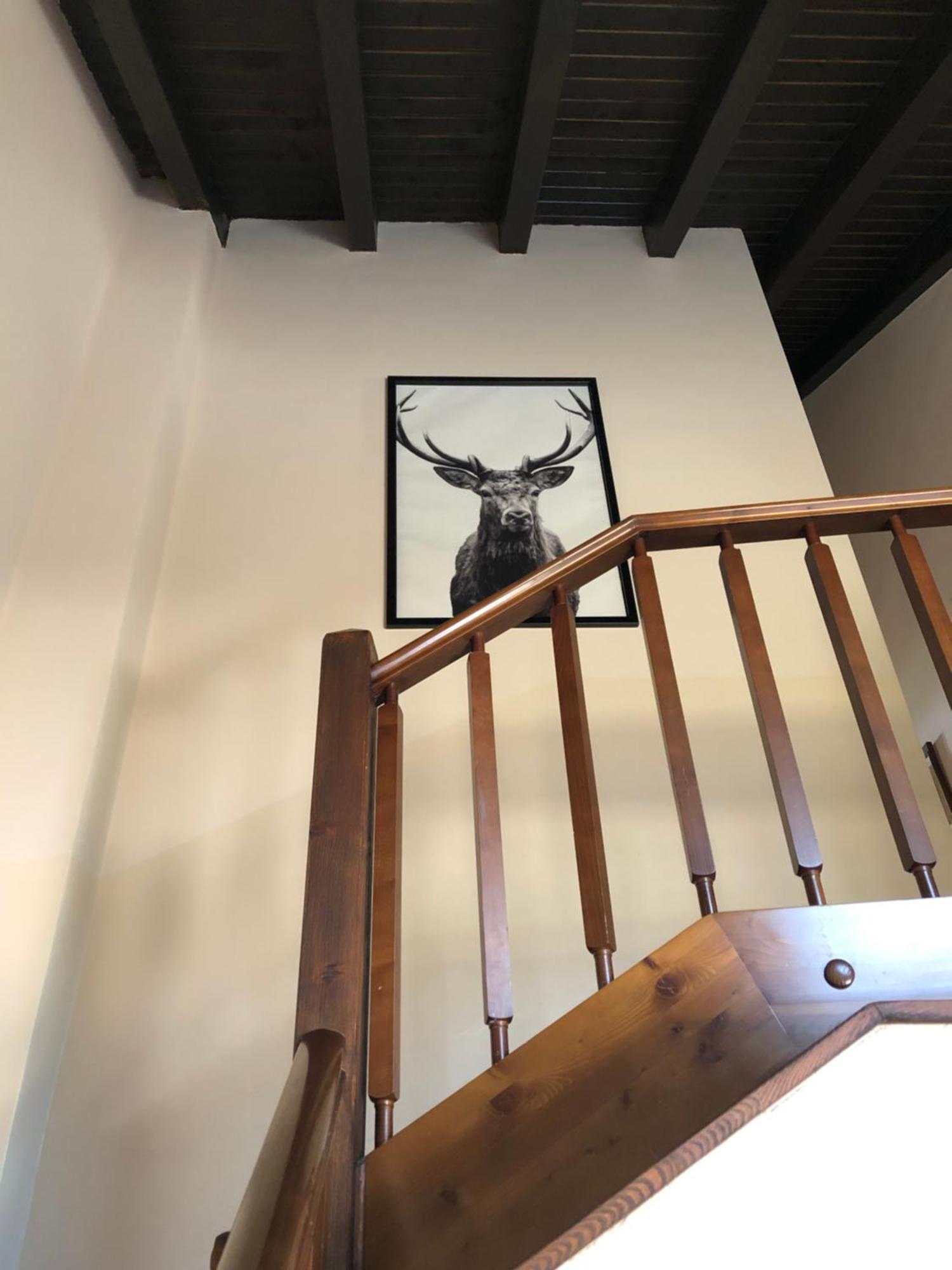 Casa Rural Mollo, Vall De Camprodon 外观 照片