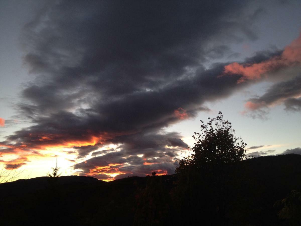 Casa Rural Mollo, Vall De Camprodon 外观 照片