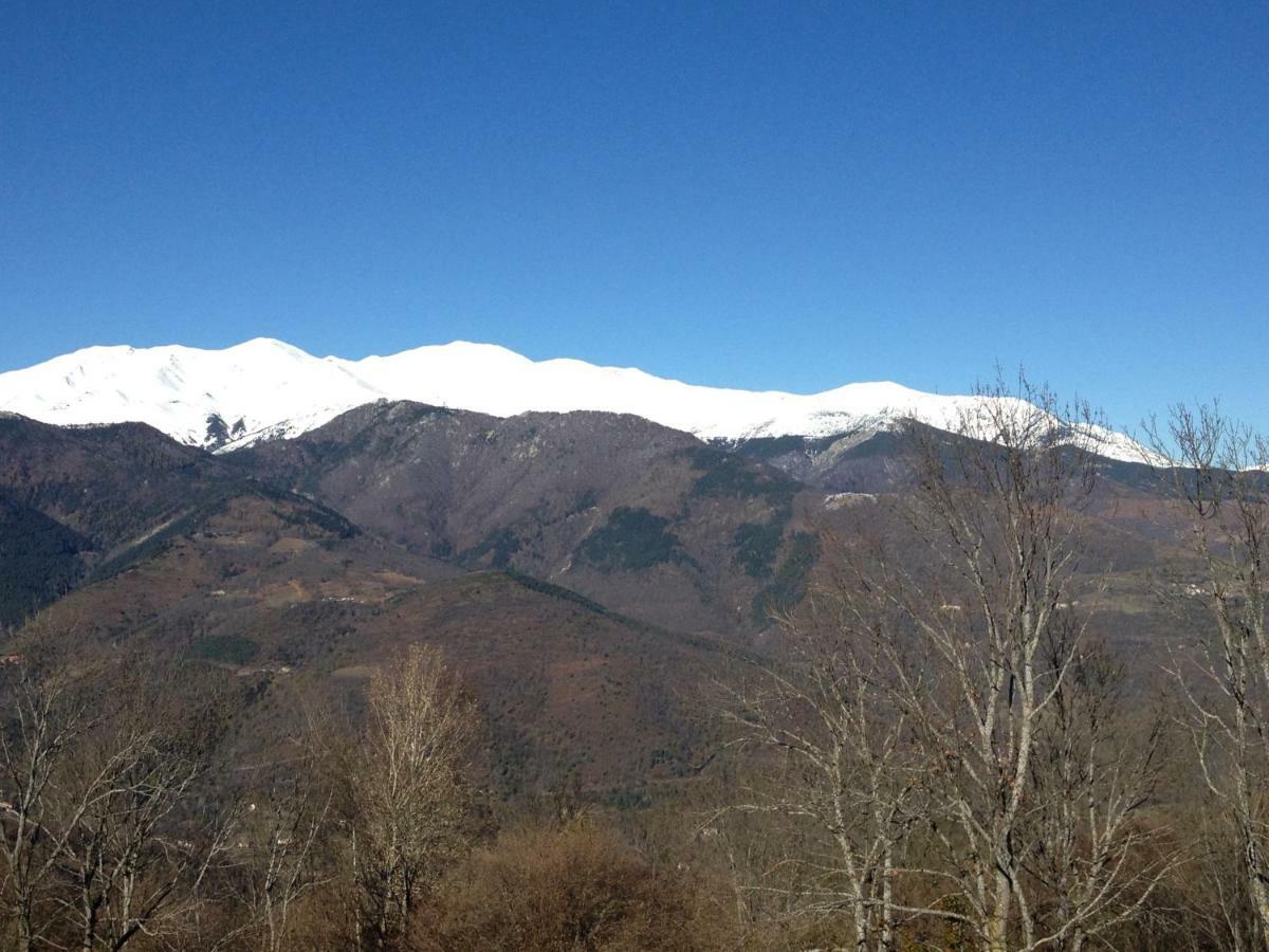 Casa Rural Mollo, Vall De Camprodon 外观 照片