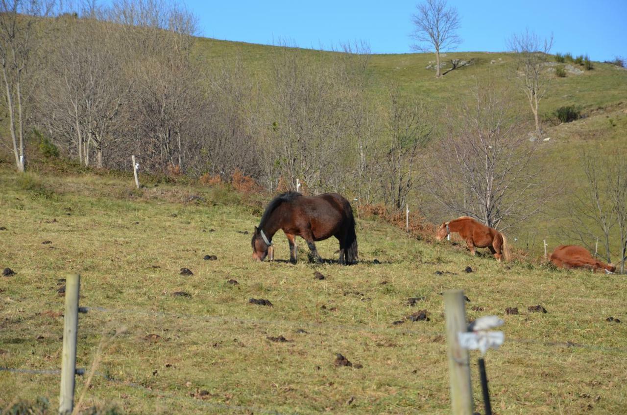 Casa Rural Mollo, Vall De Camprodon 外观 照片